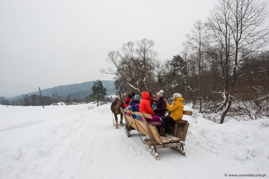 OSW Radocyna kulig Kulig, fot. K. Ligęza (www.pan-foto.pl)