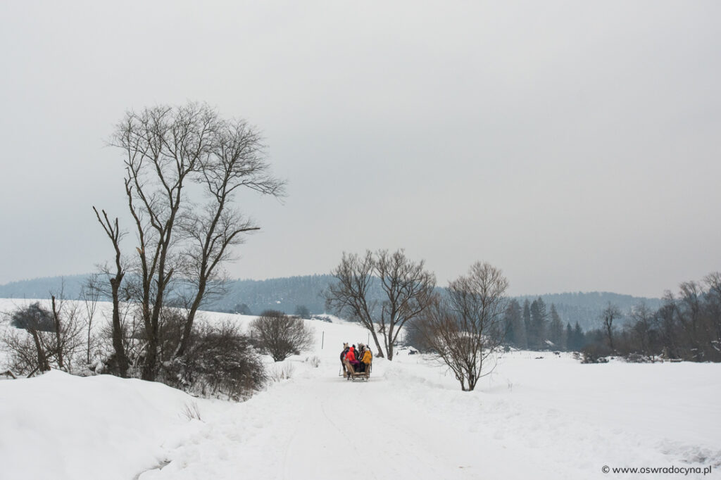 Kulig, fot. K. Ligęza (www.pan-foto.pl)