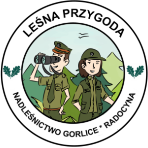 Lesna przygoda logo 2024