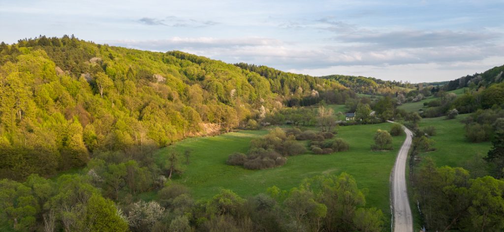 Radocyna, Beskid Niski fot. K. Ligęza (www.pan-foto.pl)