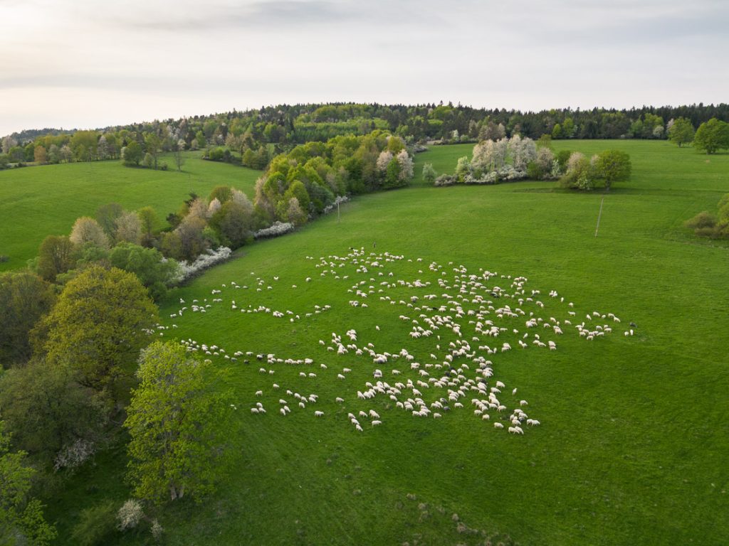 Czarne, Beskid Niski fot. K. Ligęza (www.pan-foto.pl)