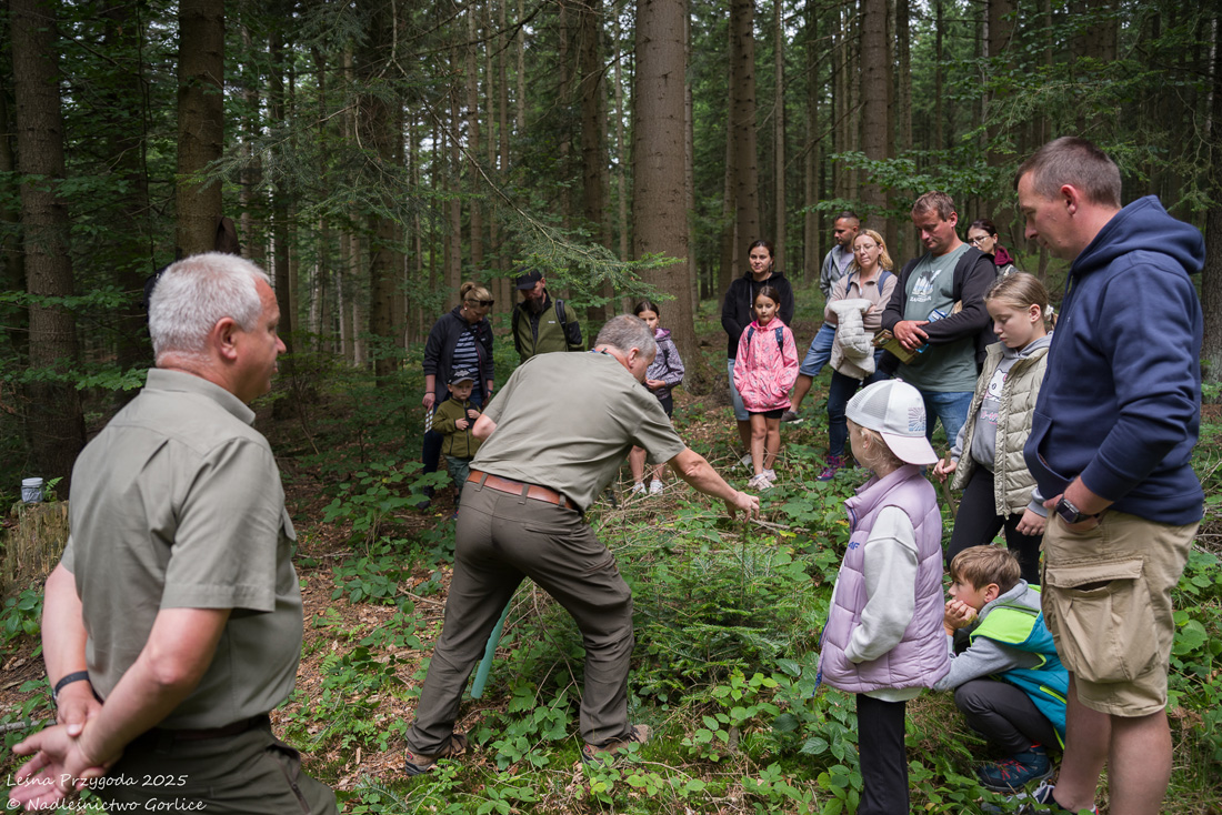 Relacja z Leśnej Przygody 2025
